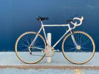 Concorde Aquila Road Bike- Rare Columbus pantographed chainring!