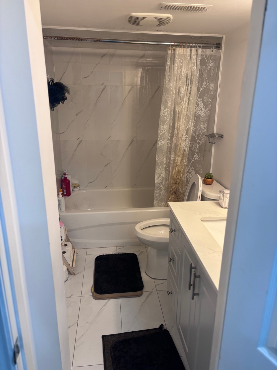 2 bedroom bsmt apartment, NOV 1 5