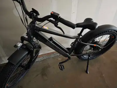 Rad Power Bikes RadRover Plus, View more