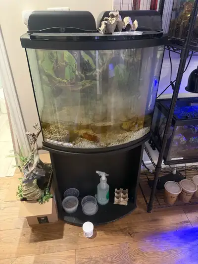 26 Gallon Bow Front Tank, View more
