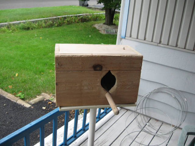 Cage pour cockatiel ou petit perroquet dans Accessoires  à Lévis - Image 3