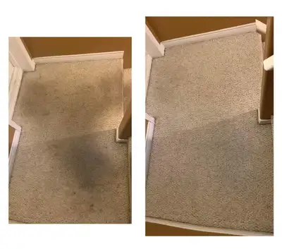The Fresh Home Carpet.Couch,Upholstery_Cleaning, View more