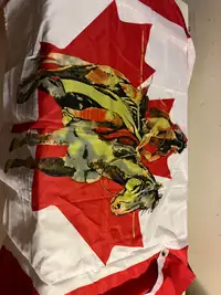 Canada First Nation horse flag 