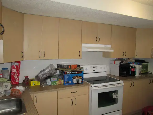 Basement For Rent