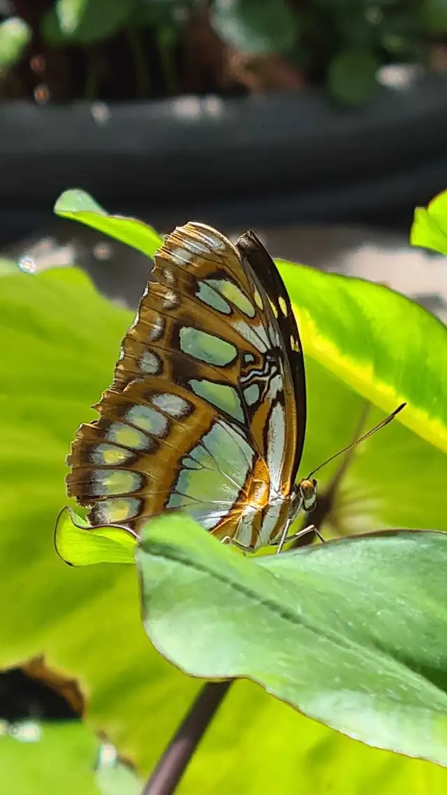 Looking for new friends64170267937154120