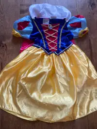 Costume Disney Princess