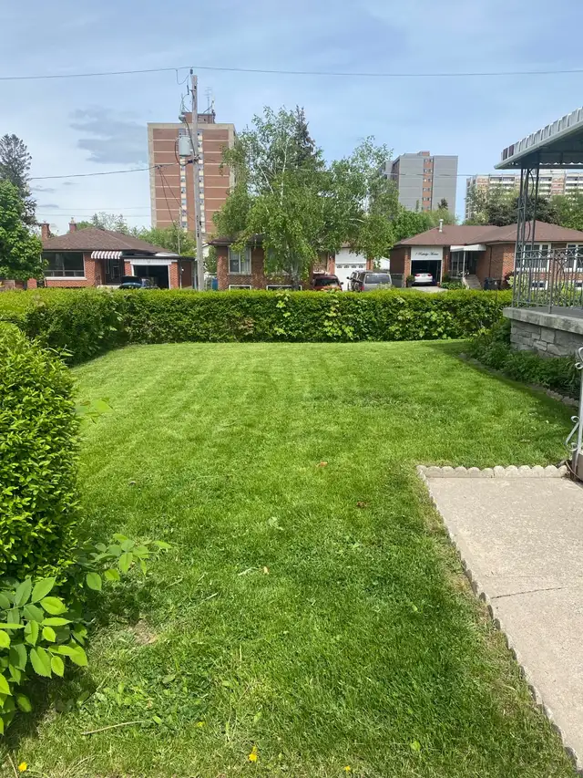 Scarborough, East York and Leaside Grass Cutting in Lawn, Tree Maintenance & Eavestrough in City of Toronto - Image 3