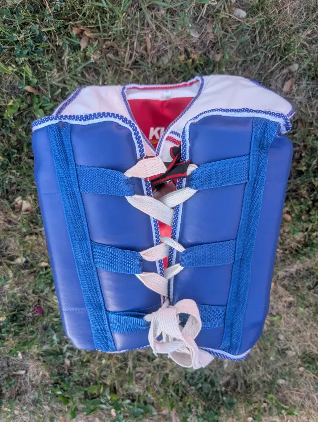 TaeKwonDo Chest Guard418454920339148801