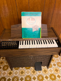  Keyboard Organ