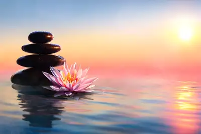 RMT registered massage therapist . A.M.P.Q membre, insurance receipt available. We offer California...
