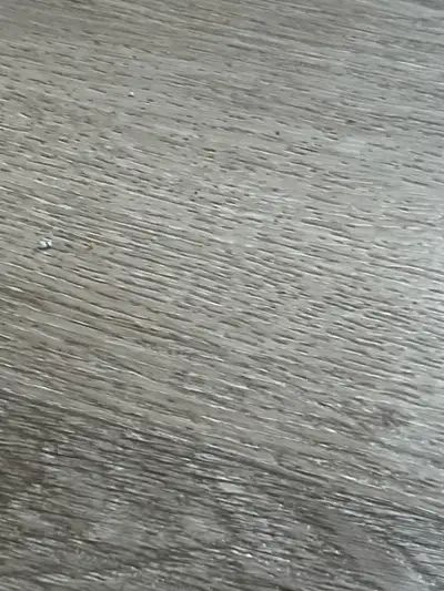 Looking for Free appliances/furniture for me and my daughter as we both moved into our 2bdrm house....