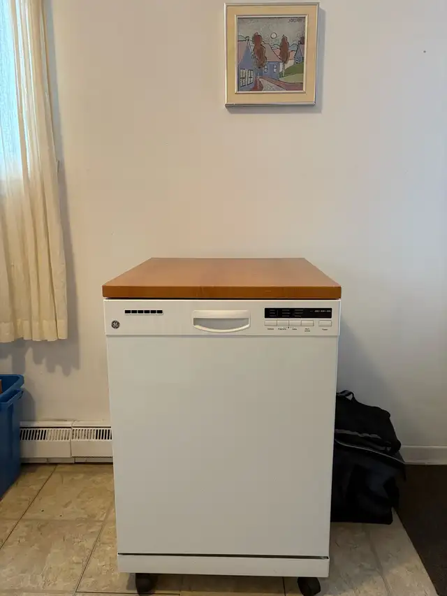 lave vaisselle sur roulettes  in Dishwashers in Trois-Rivières - Image 6