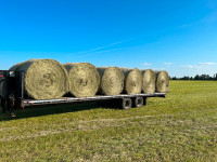 Hay for sale 4x5 rounds.  $100 per