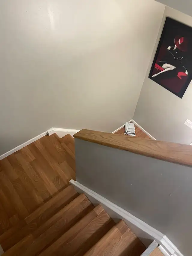 FURNISHED Large Room for Rent in Room Rentals & Roommates in Ottawa - Image 4