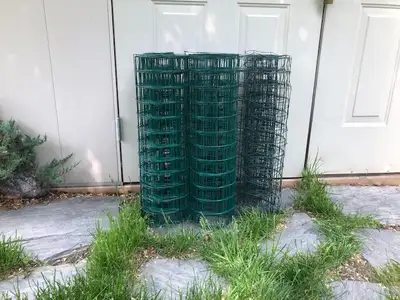 Green vinyl coated welded wire fencing with square mesh measuring 3 inches by 2 inches. 2 ft in heig...