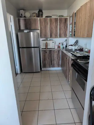 We are a quiet, friendly vegetarian couple looking for a female tenant (student or working professio...