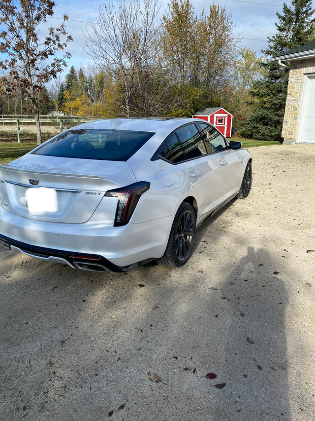 2020 Cadillac CTS in Cars & Trucks in Winnipeg - Image 2