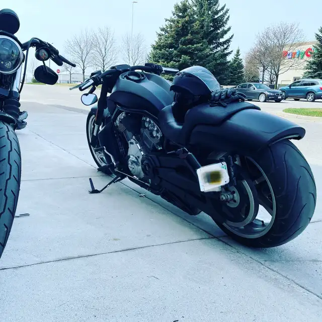 Harley Davidson V-rod Vrod muscle 2015 in Street, Cruisers & Choppers in Cambridge - Image 5