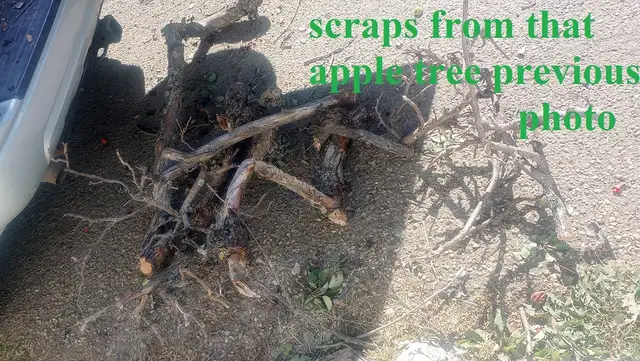 Top quality yardwork at a great value, based central NE533919362576568326