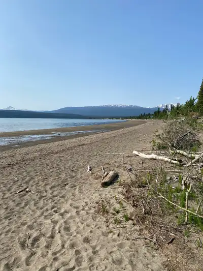 I have a camping spot available for the right individuals looking for a great camping spot with work...