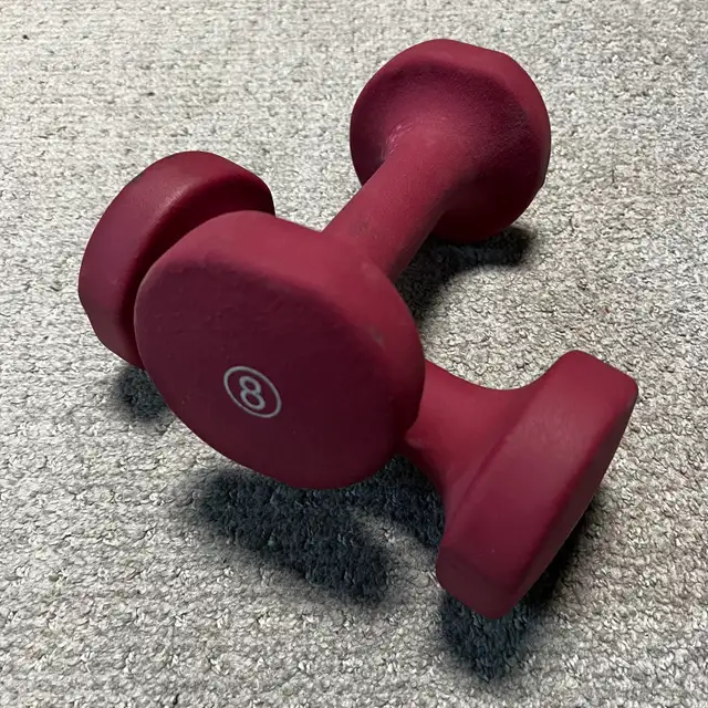 8 lbs weights in Exercise Equipment in Ottawa - Image 2