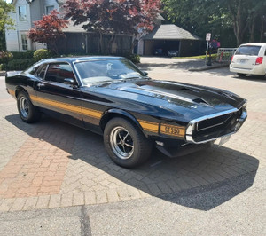 1970 Shelby Mustang GT GT350