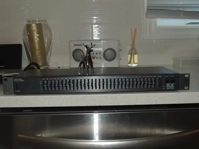 Ross RX-31M Mono/Single Channel Equalizer-31 bands in Performance & DJ Equipment in Mississauga / Peel Region - Image 2