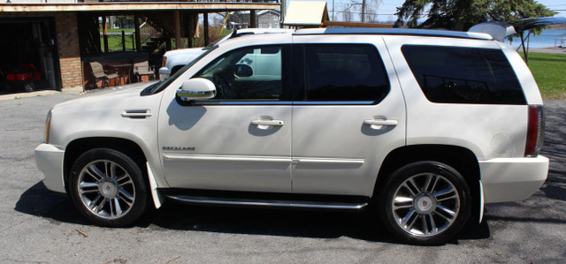 2013 Cadillac Escalade in Cars & Trucks in Mississauga / Peel Region - Image 4