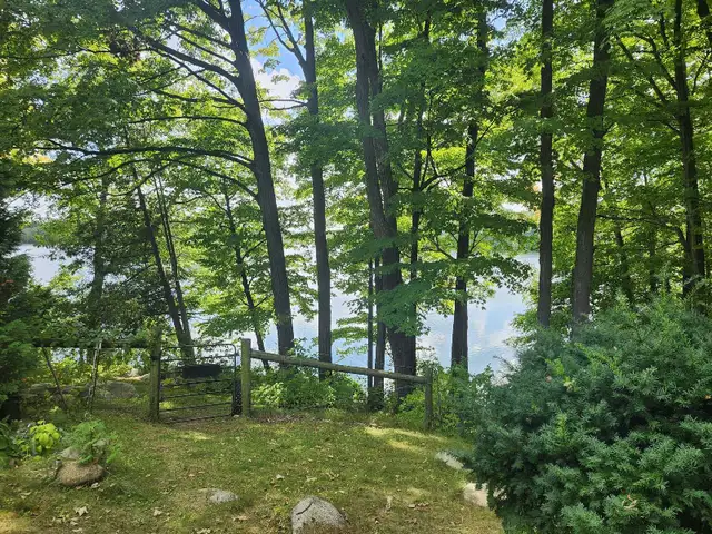 Lakefront Home For Rent 3bd/2bath on huge lot in Long Term Rentals in Cambridge - Image 9