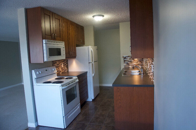 Fully Renovated Pet/Smoke Free Condo Near Oliver Square in Long Term Rentals in Edmonton
