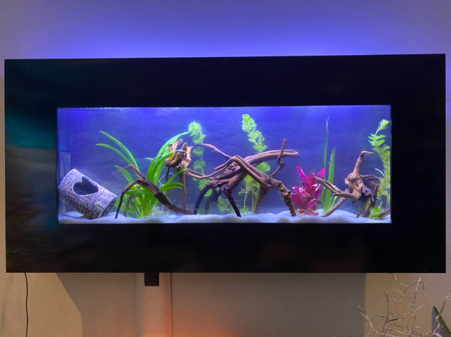 Wall Mounted Fishtank  in Other in Oakville / Halton Region - Image 2