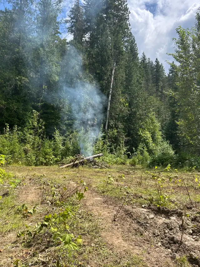 20 acres, Burton British Columbia/Nakusp in Land for Sale in Nelson - Image 10