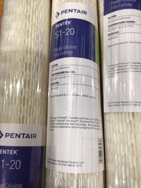 Pentair Pentek pleated cellulose filter cartridge S1-20