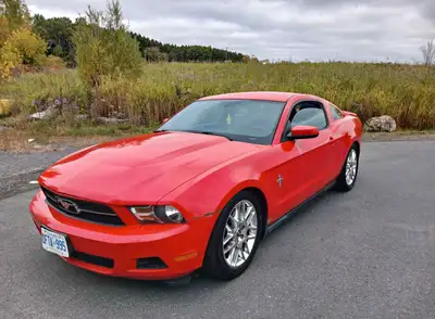 2011 Ford Mustang with 169,000kms. Leather interior. I just changed the starter and the water pump o...