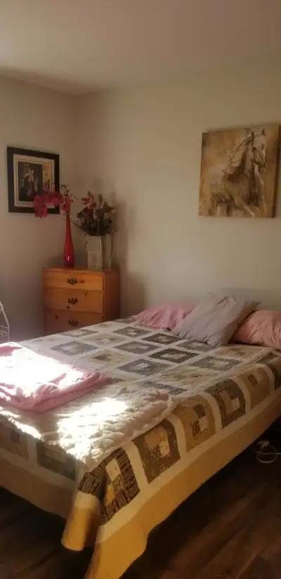 ROOM FOR RENT IN BEAUTIFUL LUXURY APARTMENT. AVAILABLE IMMEDIATELY FURNISHED ROOM WITH BEDDING AVAIL...