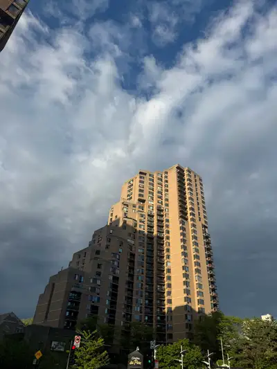 438-870-1048 Lease transfert. Rebate possible. LaCite Appartement near McGill University, studio, hi...
