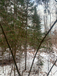 27 Acres Vacant Land for Sale in Temiskaming Shores