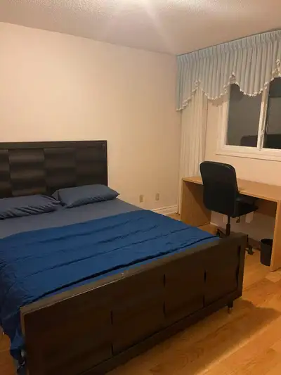 Room for rent(downtown Mississauga)