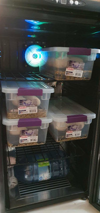 SOLD - SNAKE EGGS INCUBATOR WITH LIGHTS