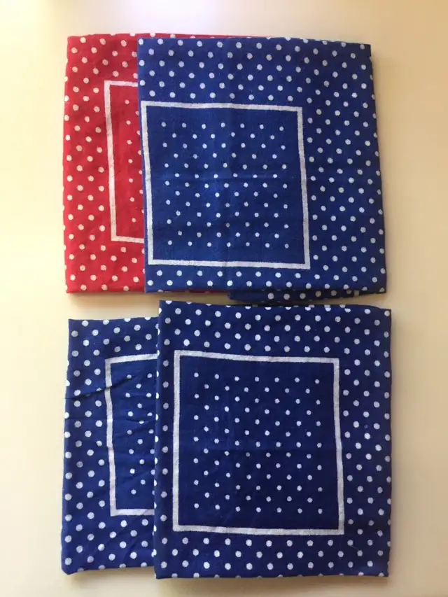 5 WILD RAGS (BANDANAS)63006660302081122