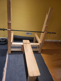 Custom Homemade Full Home Gym Bench Press and Squat Rack 