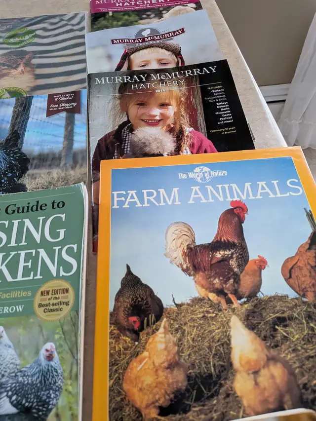 Books b on chickens523049804183654405