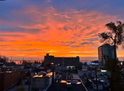 Port Credit! Roomate/student room for rent! Inclusive! Now!