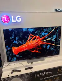 LG OLED smart TV 65 po liquidation