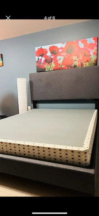 Wayfair Queen Bed