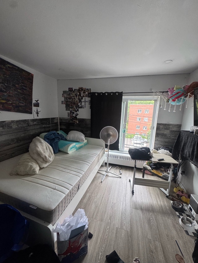 Studio For Rent ASAP — photo 2