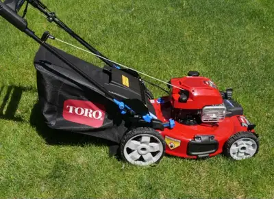 Oakville and Burlington lawn cutting services, View more