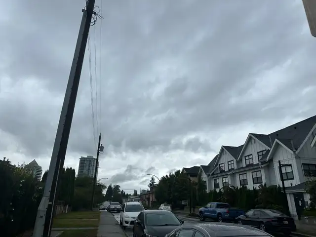 Room For Female Student or Single Professional in Room Rentals & Roommates in Burnaby/New Westminster - Image 8