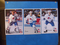 1990-91-QUEBEC NORDIQUES-Petro Canada-Complete Team Player Set.
