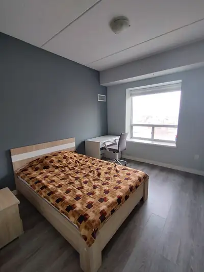 Private room in a 2 bed 2 bath apartment With walk in Closet and private washroom Fully Furnished wi...